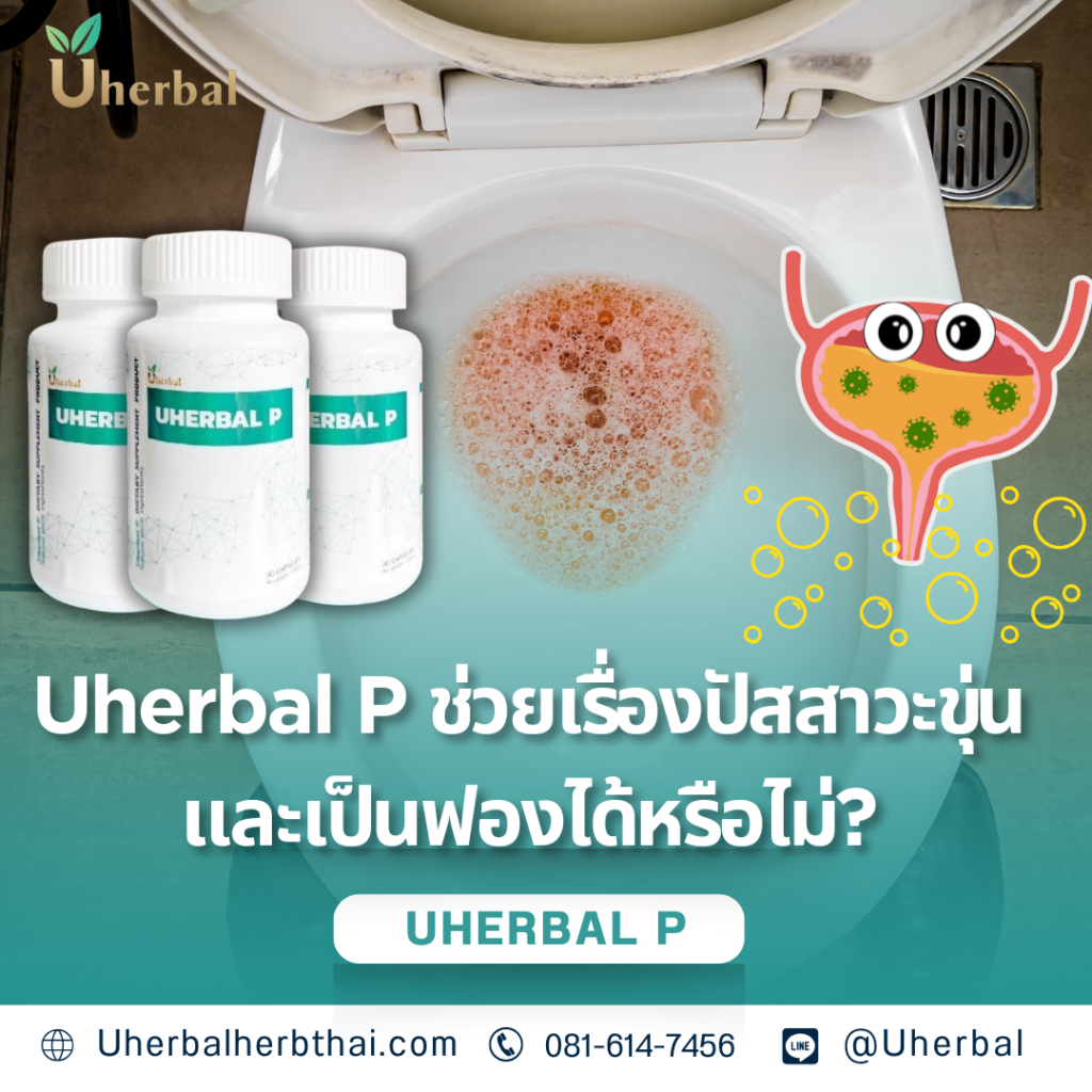 Uherbal P ช่วยเรื่องปัสสาวะขุ่นและเป็นฟองในปัสสาวะหรือไม่?