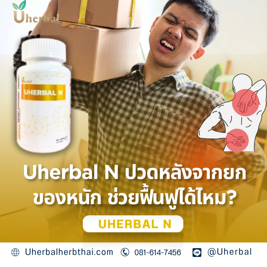 Uherbal N ปวดหลังจากยกของหนัก ช่วยฟื้นฟูได้ไหม?