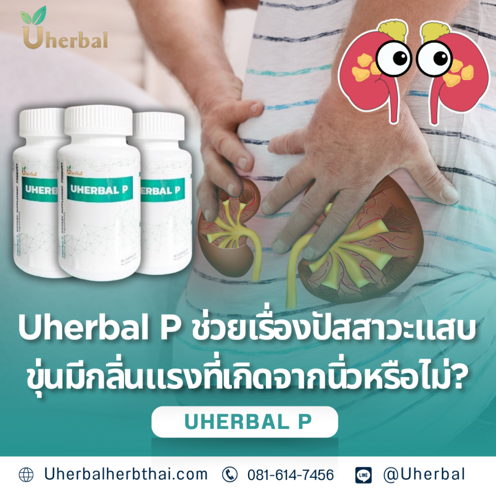 Uherbal P ช่วยเรื่องปัสสาวะแสบ ขุ่นมีกลิ่นแรงที่เกิดจากนิ่วได้หรือไม่? 