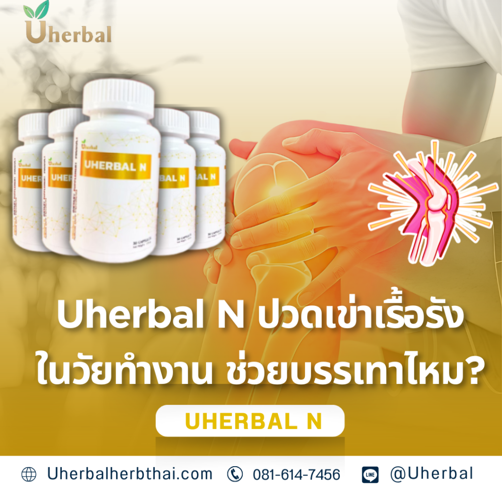 Uherbal N ปวดเข่าเรื้อรังในวัยทำงาน ช่วยบรรเทาไหม?