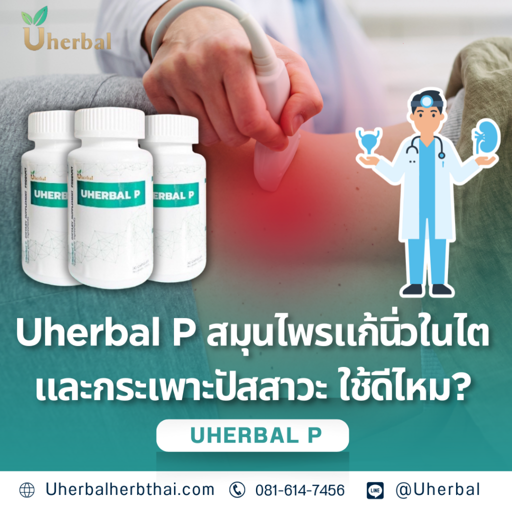 Uherbal P สมุนไพรแก้นิ่วในไตและกระเพาะปัสสาวะ ใช้ดีไหม?