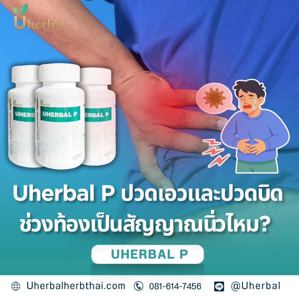 Uherbal P ฟื้นฟูไตเสื่อมระยะเริ่มต้นได้ไหม?