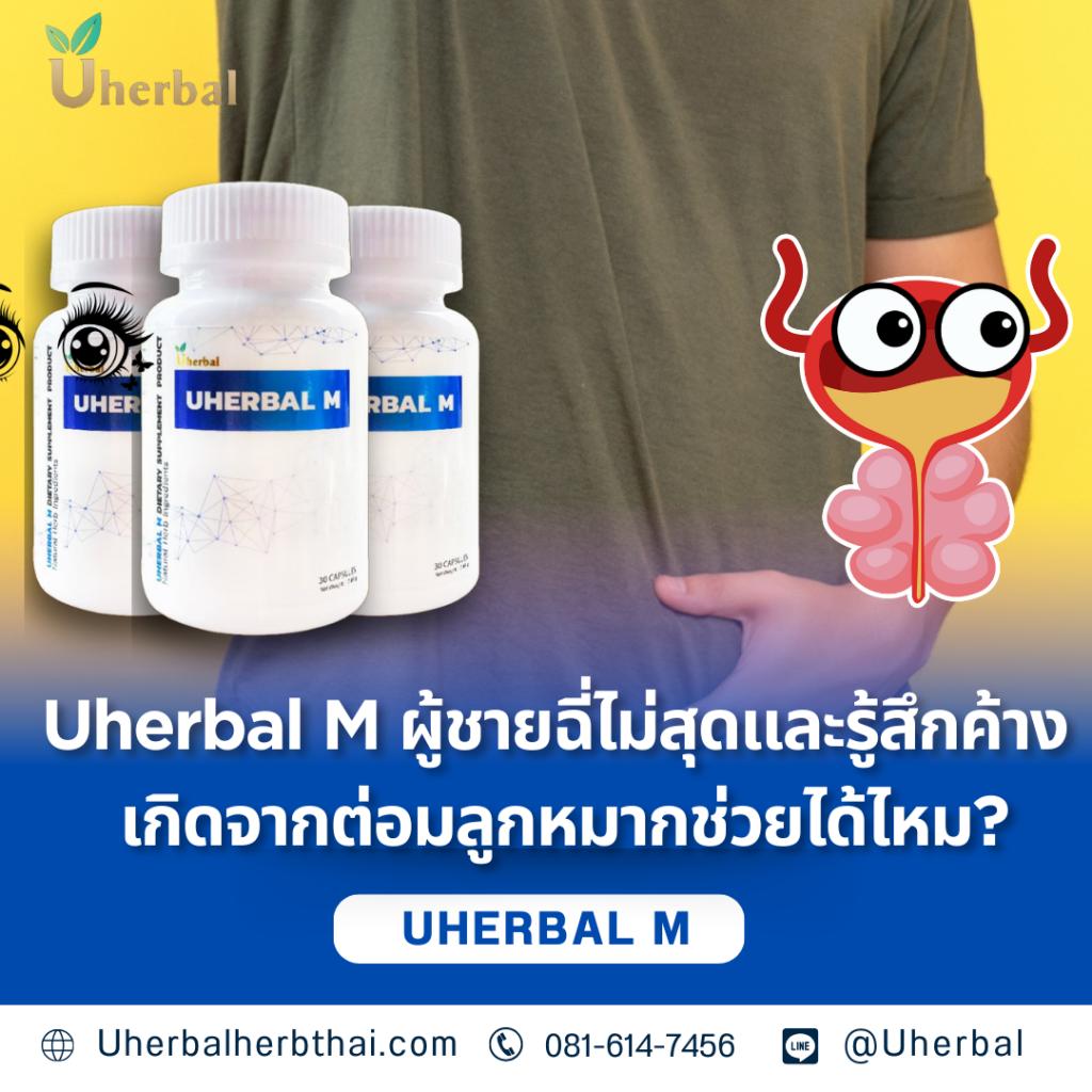 Uherbal M ผู้ชายฉี่ไม่สุดและรู้สึกค้างเกิดจากต่อมลูกหมากช่วยได้ไหม?