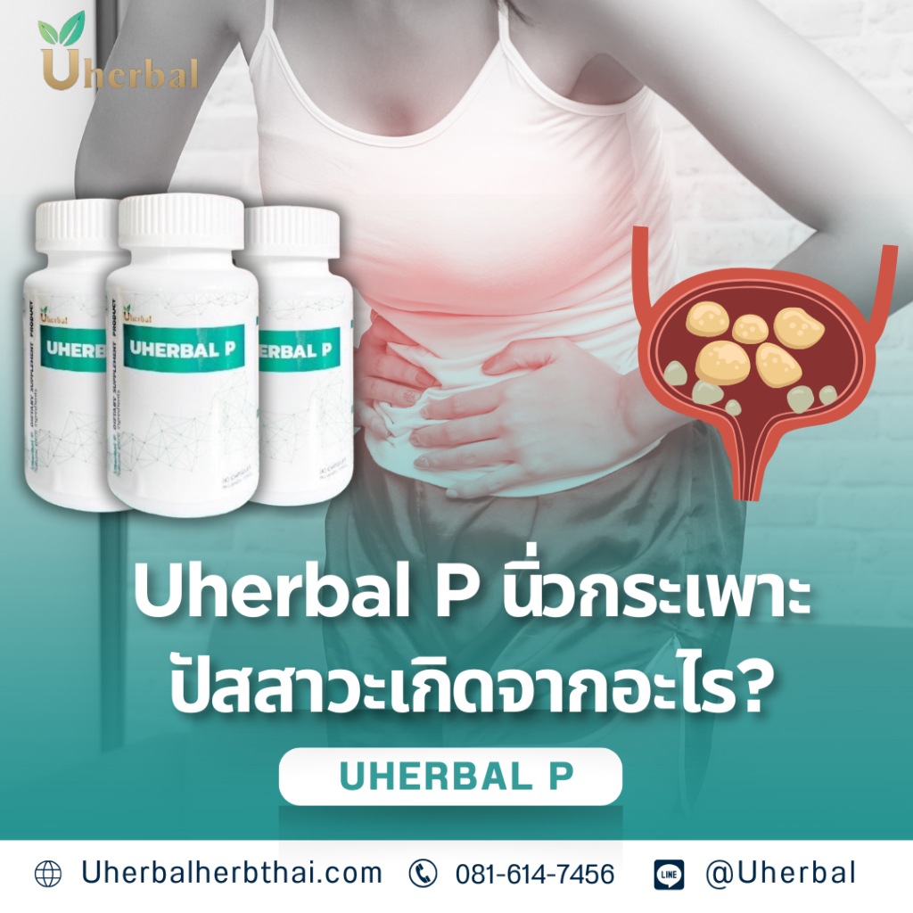 Uherbal P นิ่วกระเพาะปัสสาวะเกิดจากอะไร?