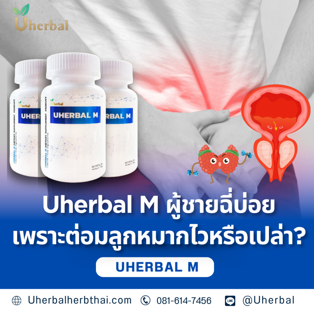 Uherbal M ผู้ชายฉี่บ่อยเพราะต่อมลูกหมากไวหรือเปล่า?