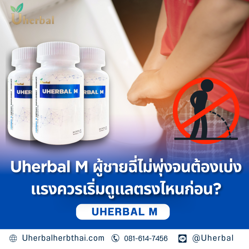 Uherbal M ผู้ชายฉี่ไม่พุ่งจนต้องเบ่งแรงควรเริ่มดูแลตรงไหนก่อน?